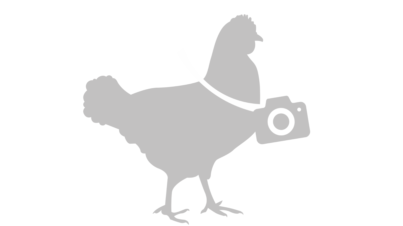Produto sem foto